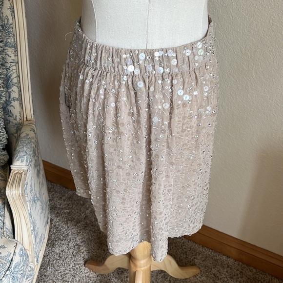 Ann Taylor Silk Beaded Skirt Size S Pockets Side Zip Stretch Waist - Picture 7 of 10